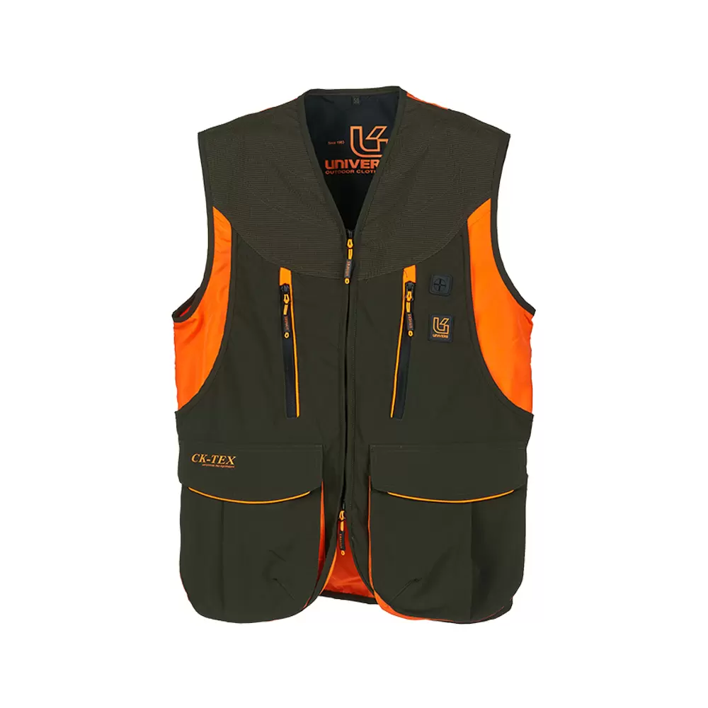 VESTA CARINA UNIVERS