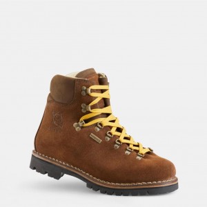 BOCANCI ARLARA DIOTTO