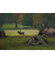 Jacheta DEER STALKER CAMO HWS Härkila
